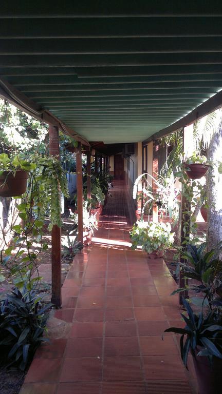伊瓜苏港 罗斯赫勒朝斯旅馆酒店 外观 照片